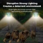 Beast Repellent Solar Warning Lights with Loud Volume - Image 3